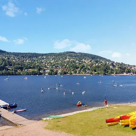 Awesome In With Wifi Holiday home Gerardmer