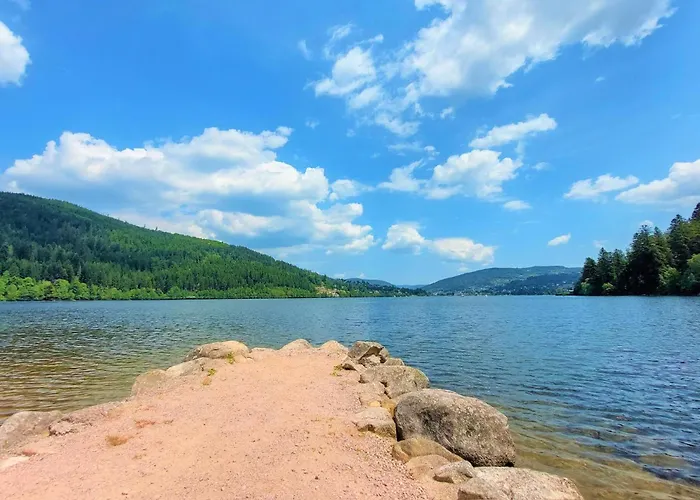 Lovely In With Kitchen