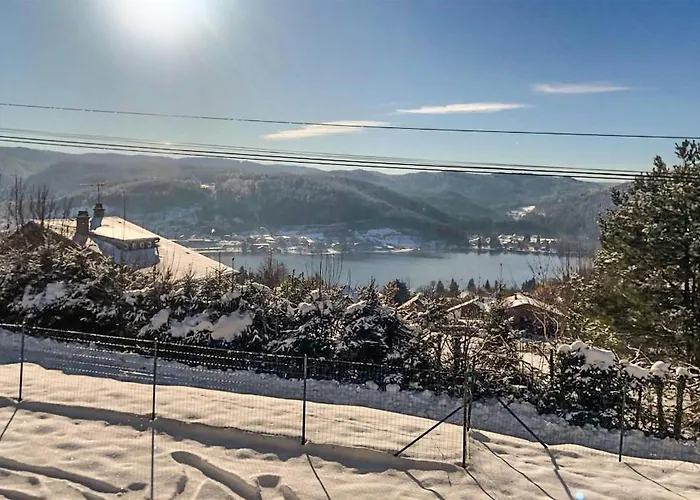 Lovely In With Kitchen Holiday home Gerardmer